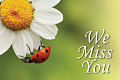We Miss You Ladybug Postcard (Pkg of 25)