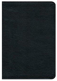 Book - Leather / fine binding