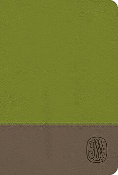 Book - Leather / fine binding