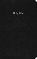 CEB Common English Bible Gift & Award Black Red Letter Edition