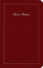 CEB Common English Bible Thinline, Bonded Leather Burgundy
